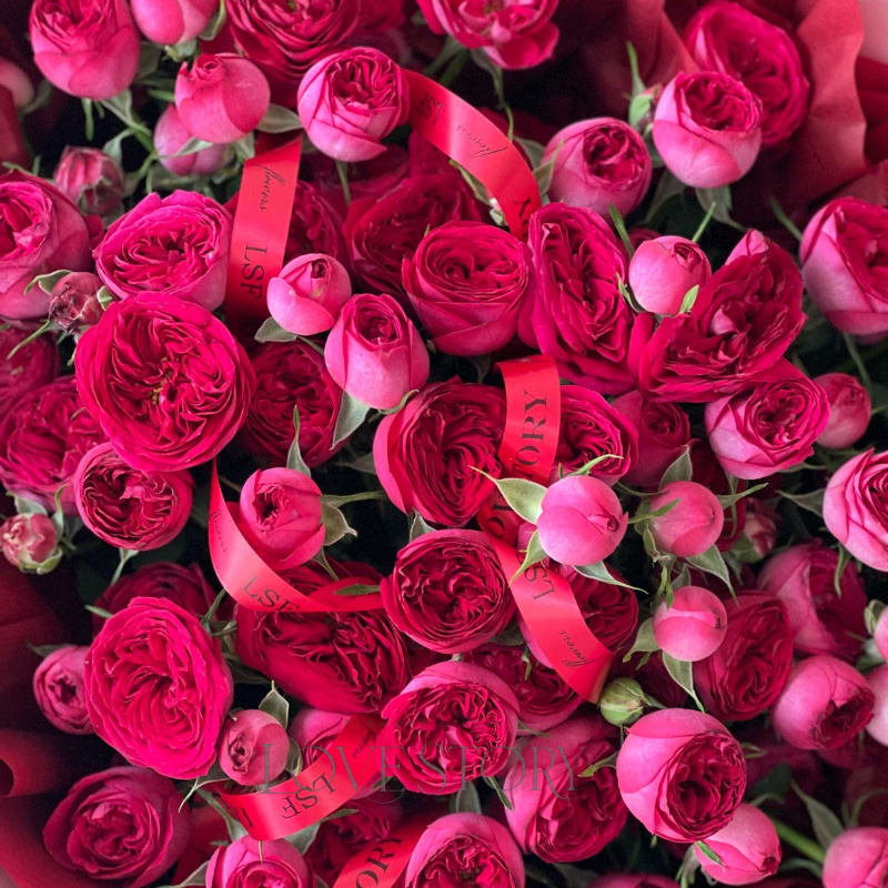 Роял тренд моно 1