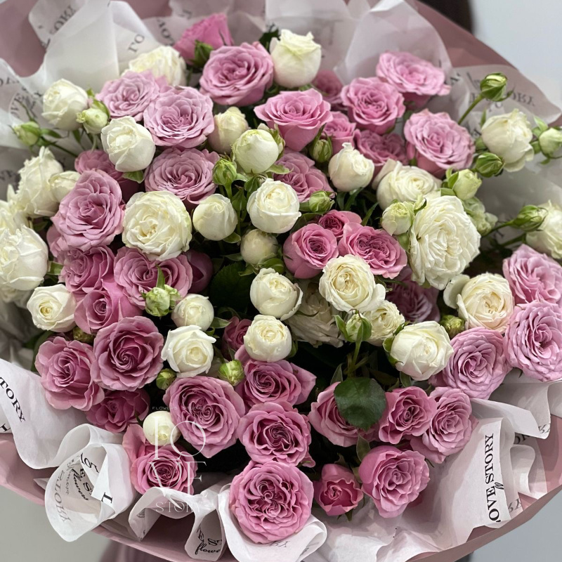 Нолла и мисс бомбастик 1
