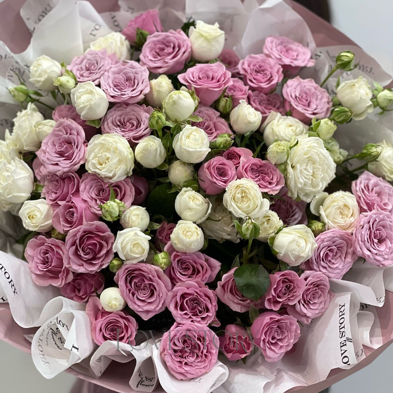 Нолла и мисс бомбастик 1