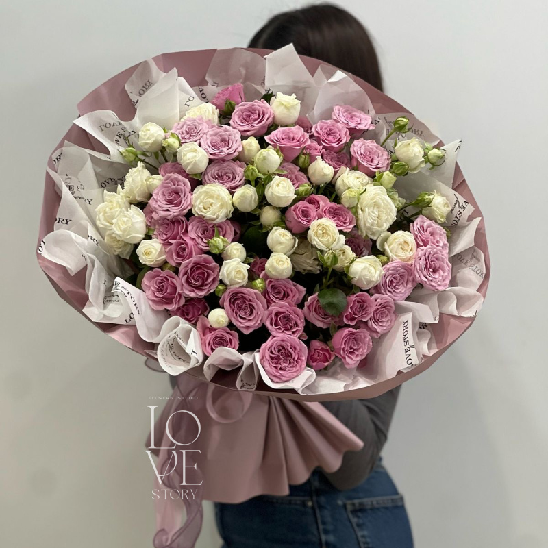 Нолла и мисс бомбастик