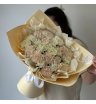 Микс кремовых диантусов Брют и белых 