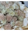 Микс кремовых диантусов Брют и белых  1