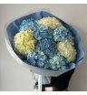 Микс голубых и белых гортензии 
