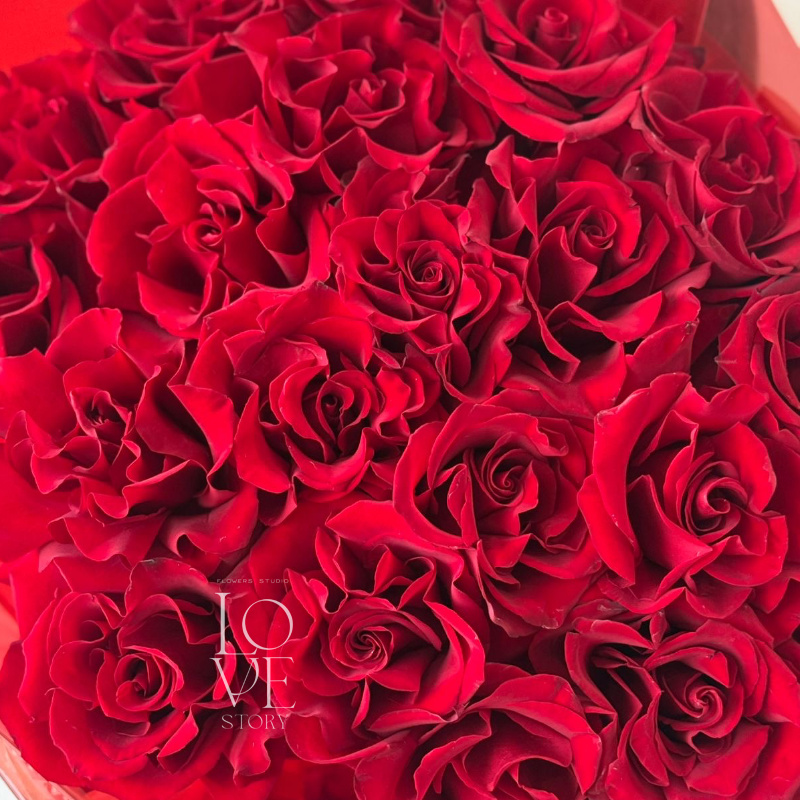 Эксплоер 19 шт  2