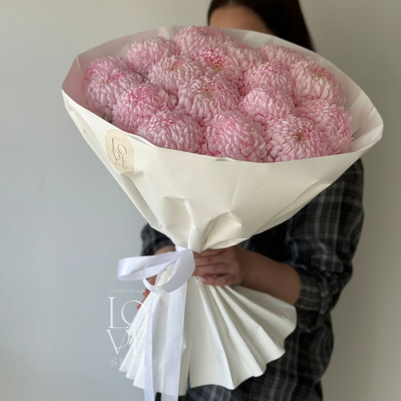 Крашеные розовые хризантемы Бигуди 1