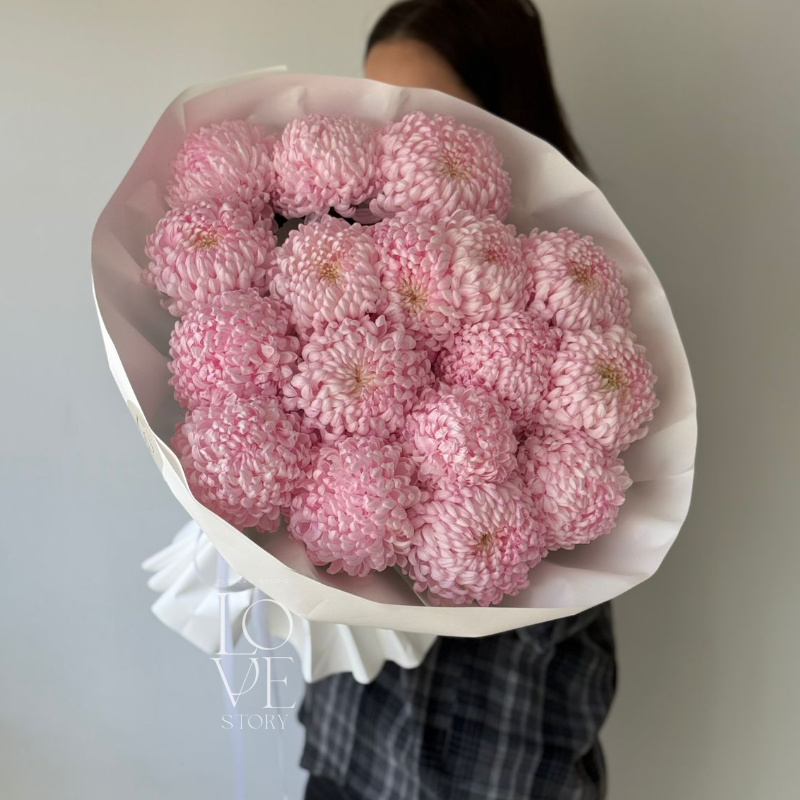 Крашеные розовые хризантемы Бигуди