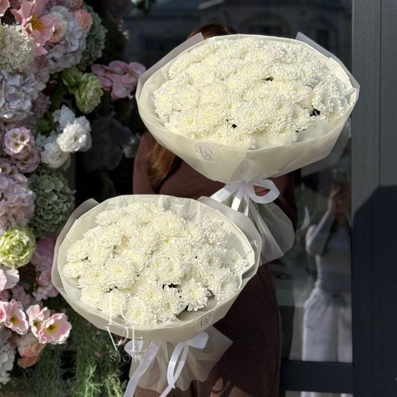 Кустовая хризантема Алтай моно  1