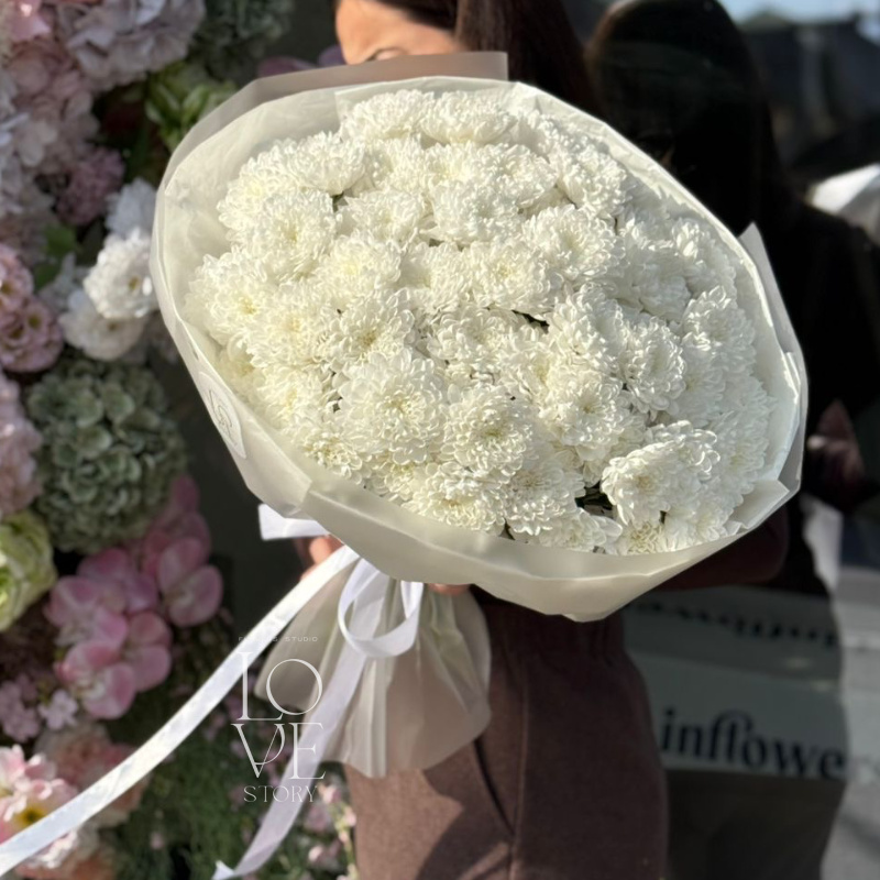 Хризантема Алтай моно (макси) 