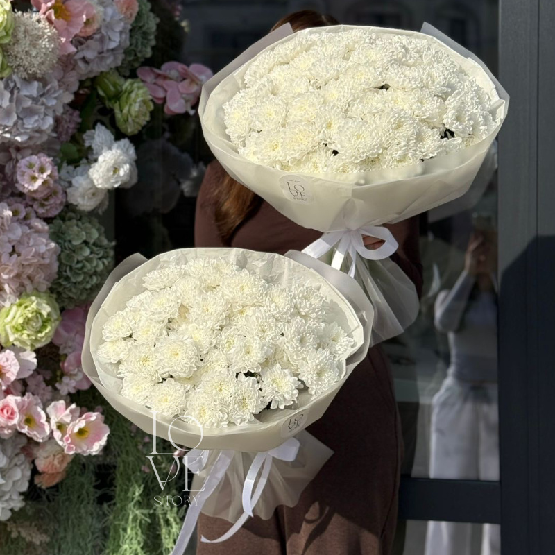 Хризантема Алтай моно (макси)  2