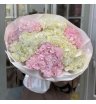 Бело розовые Гортензии 