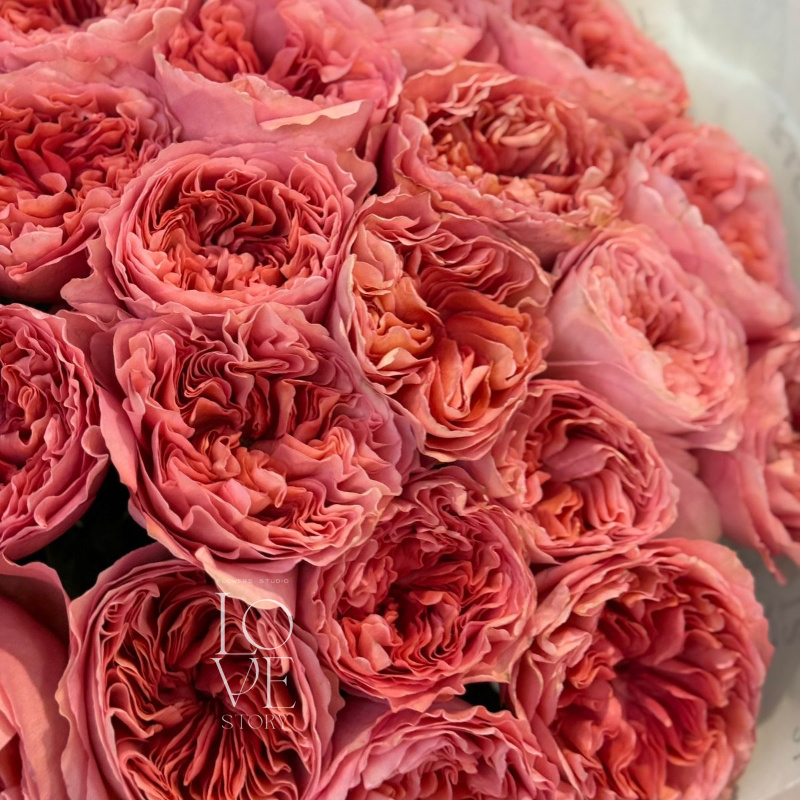 Кенди экспрешн (21 шт) 2 2