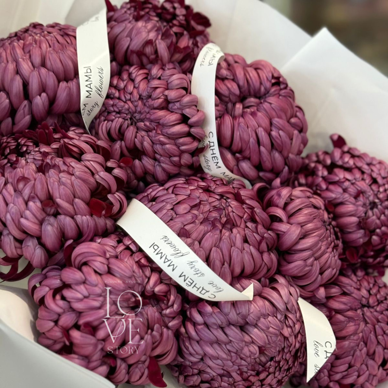 Фиолетовые бигуди (11 шт) 2