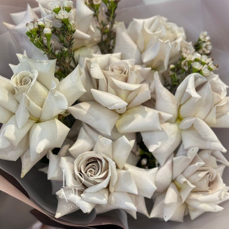 Мента и Ваксфловер мини  2