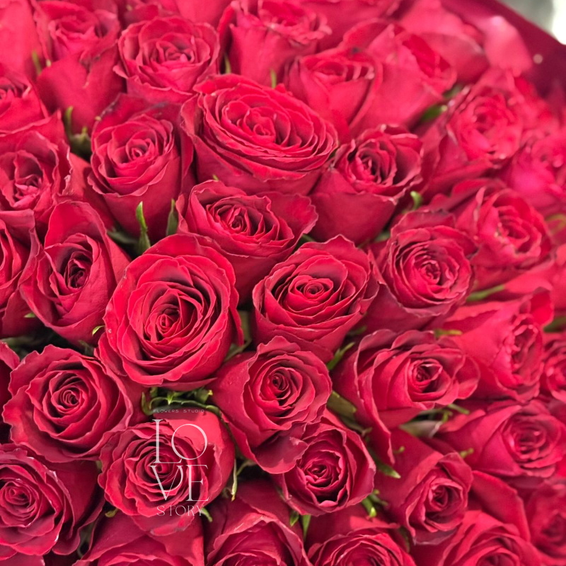 Моно красная Кения 51 шт  2