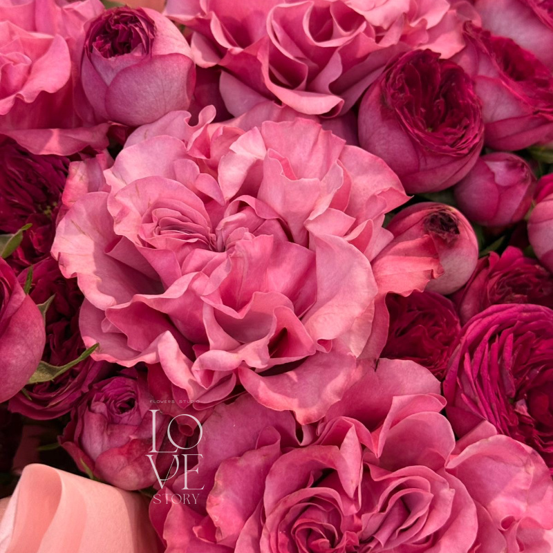 Кантри и роял трендсеттер  1