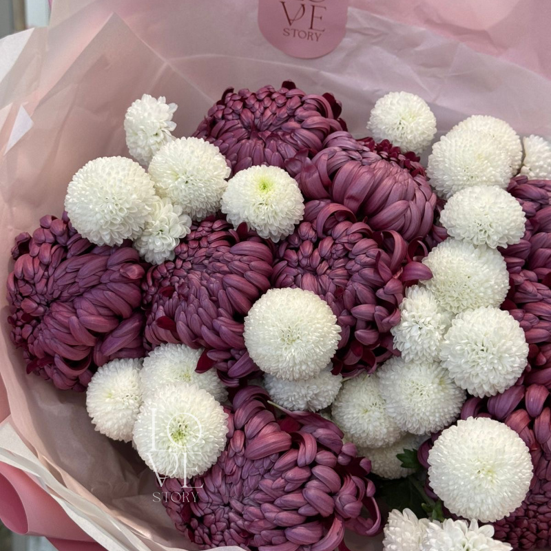 Бигуди и ньютон 2