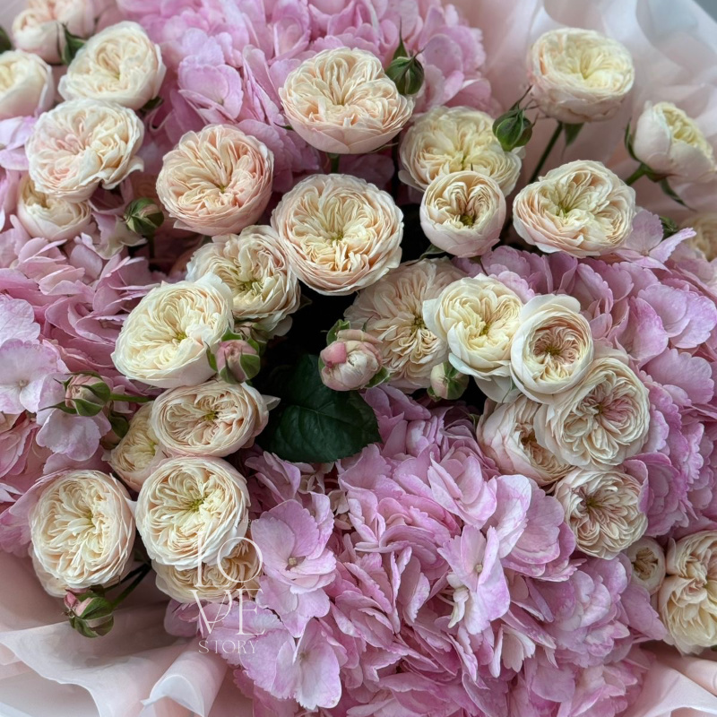 Роял блаш и гортензии 1