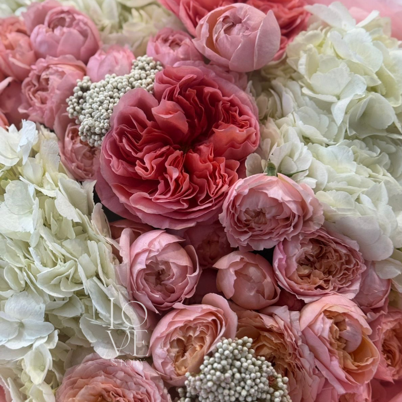 Микс с Кенди экспрешн и Джульеттой 2