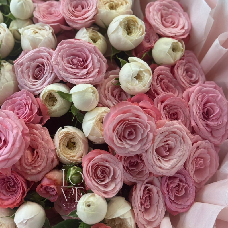 Микс Менсфилд парка и Бердснест 2