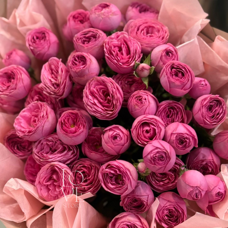 Жизель моно (мини)  2