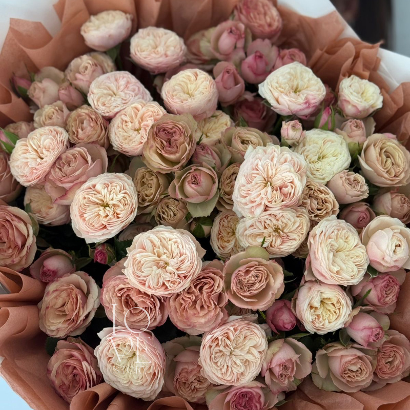 Нежный кофейный микс (роял блаш и дестини)  2