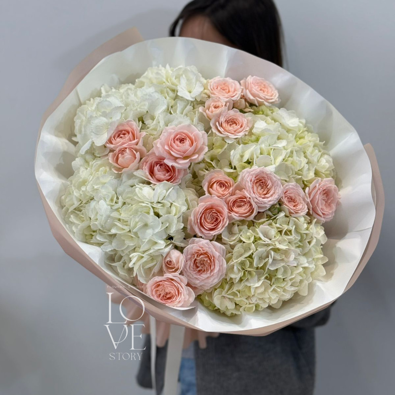 Гортензии и Пич Дименшн