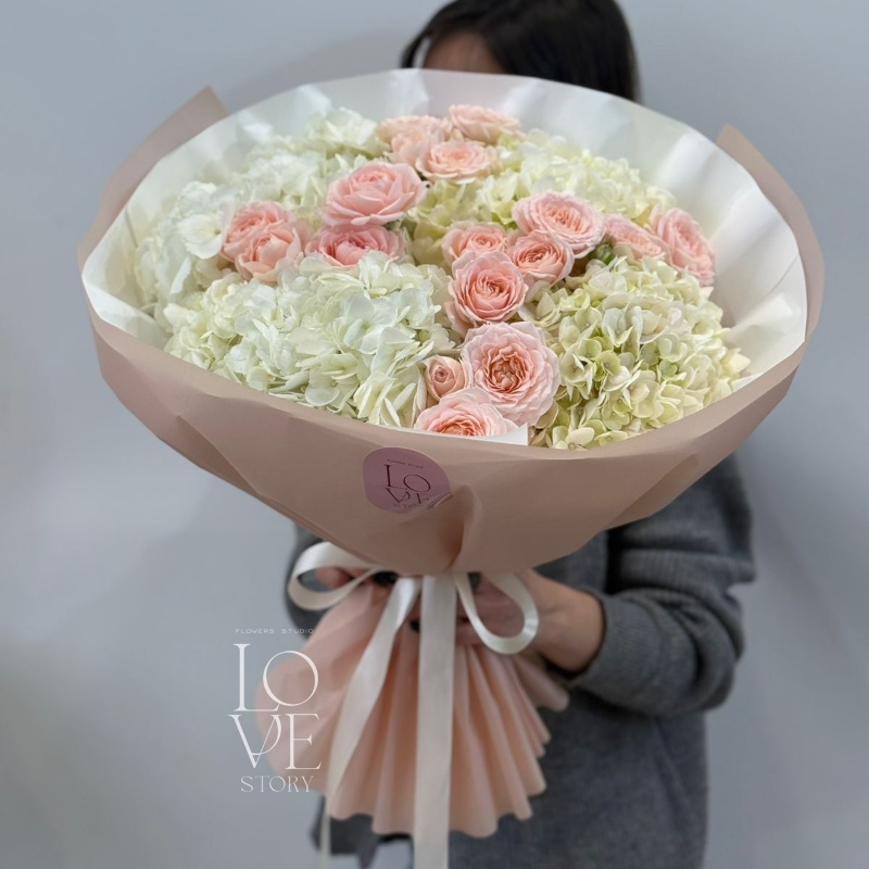 Гортензии и Пич Дименшн 1