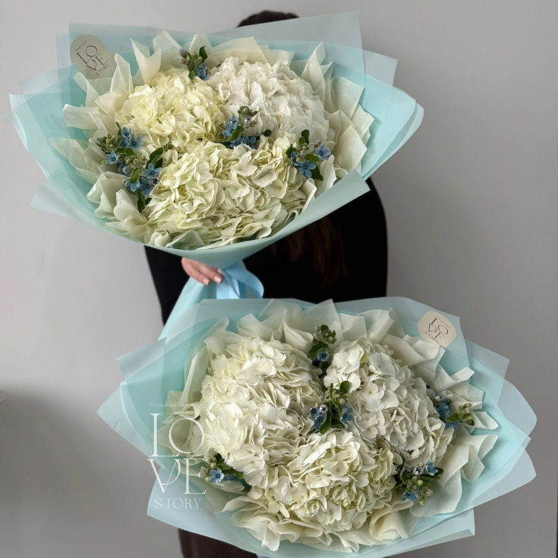 Гортензии и голубой оксипеталум 3