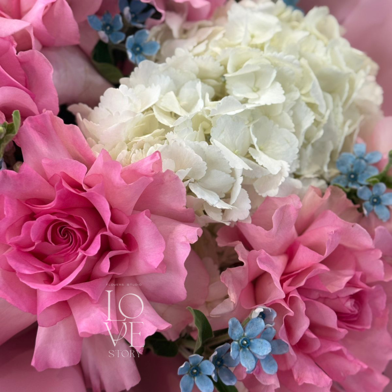 Роза Мандала, Гортензии и оксипеталум 2