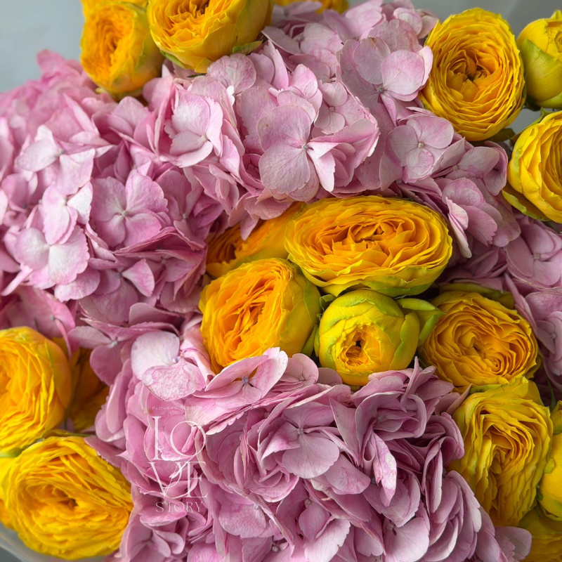 Розовые Гортензии и Голден трендсеттер  2