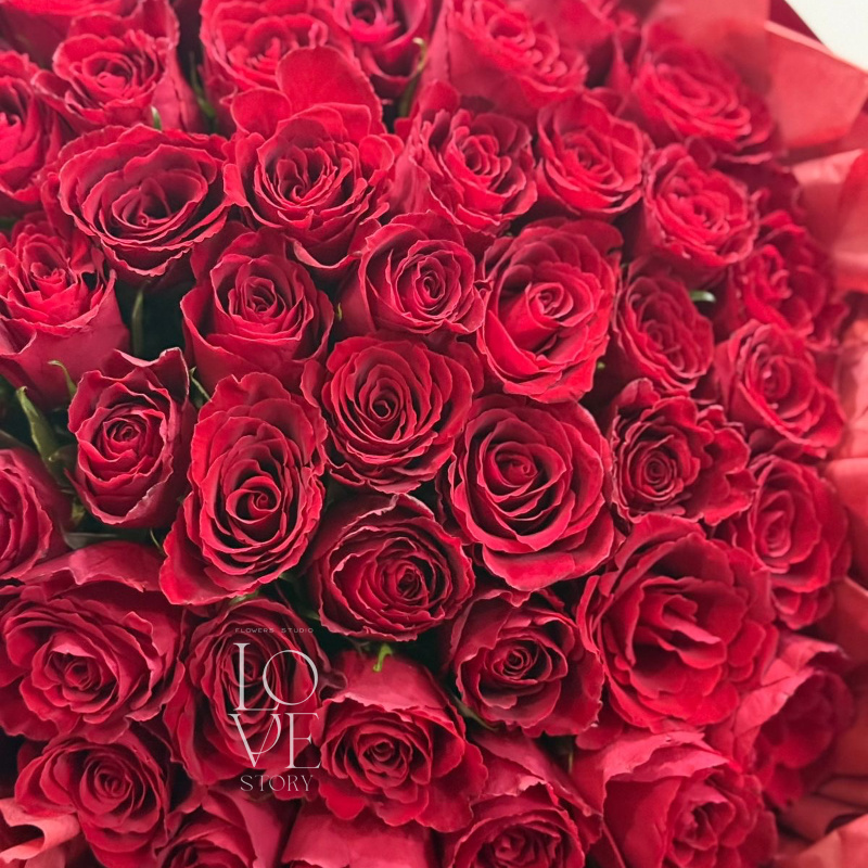 Роза Кения 45 шт 2