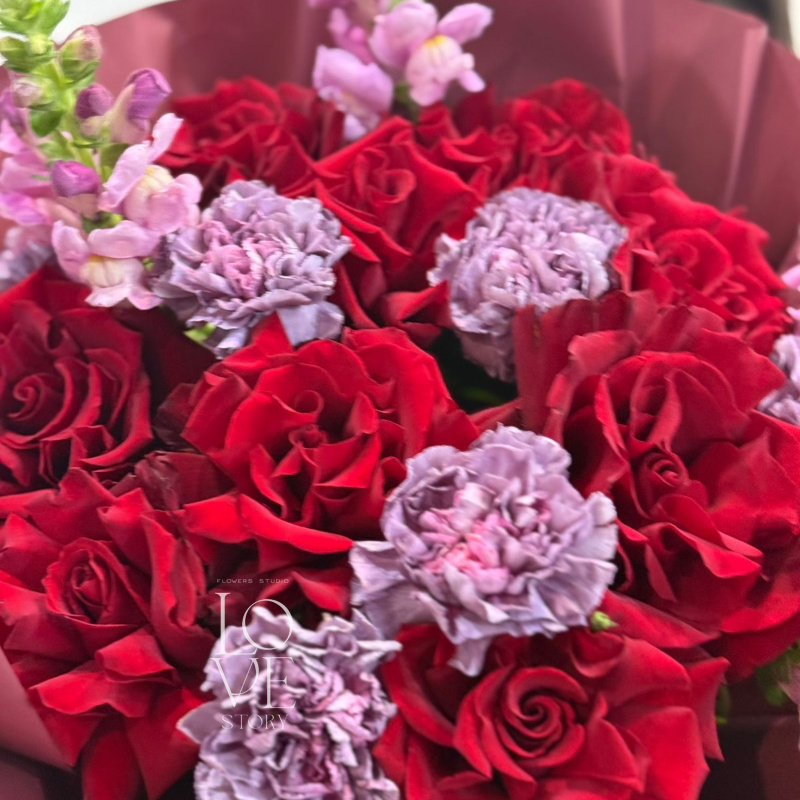 Эксплоер, антиринум и диантусы грей 2