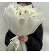 Белые классические тюльпаны 31 шт 1