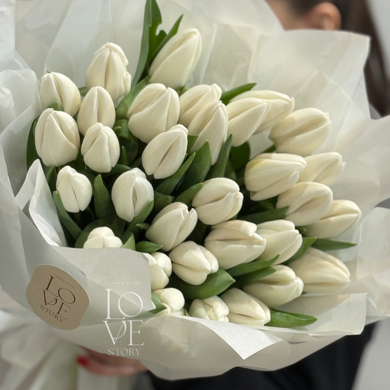 Белые классические тюльпаны 31 шт 2