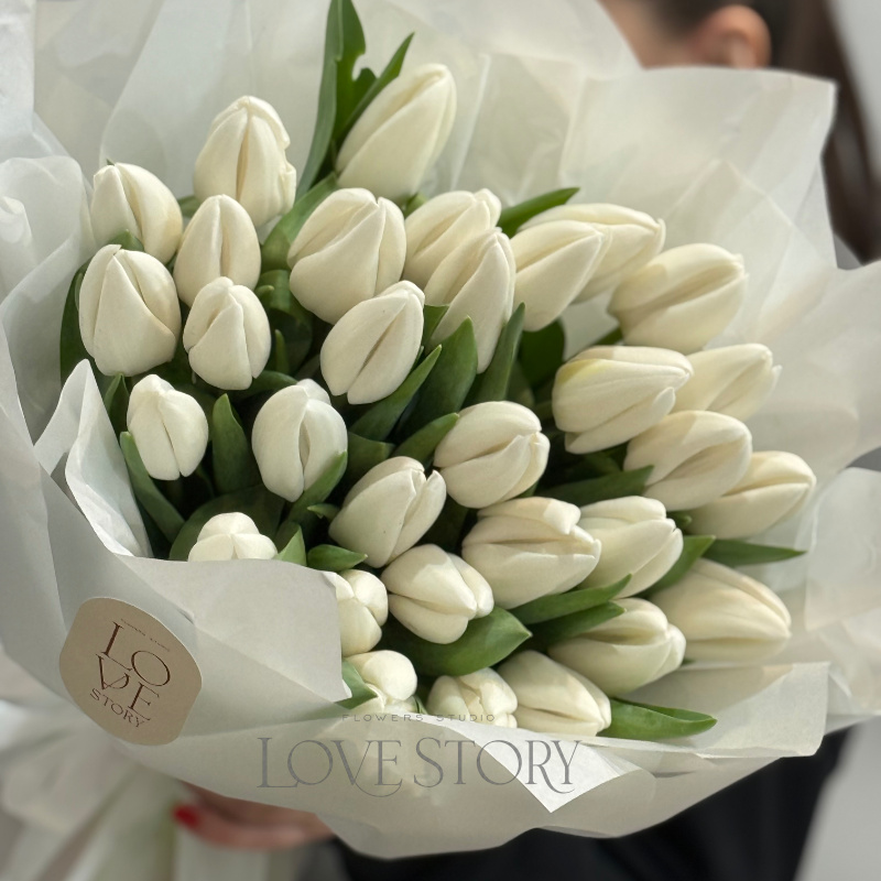 Белые классические тюльпаны 31 шт 2