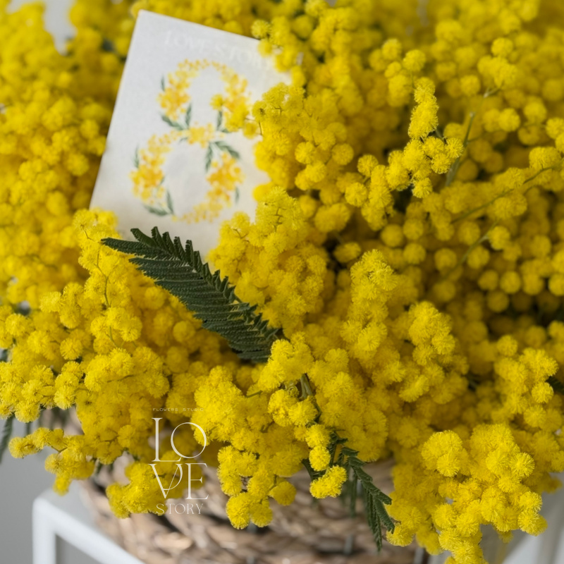 Корзинка с ароматной мимозой (размер М)  1