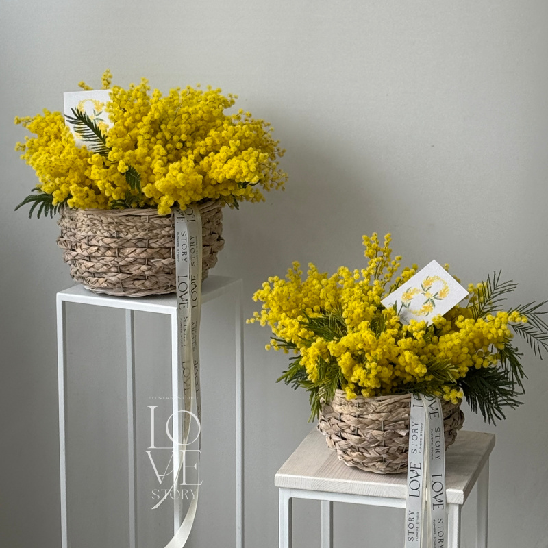 Корзинка с ароматной мимозой (размер М)  2