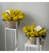 Корзинка с ароматной мимозой (размер М)  2