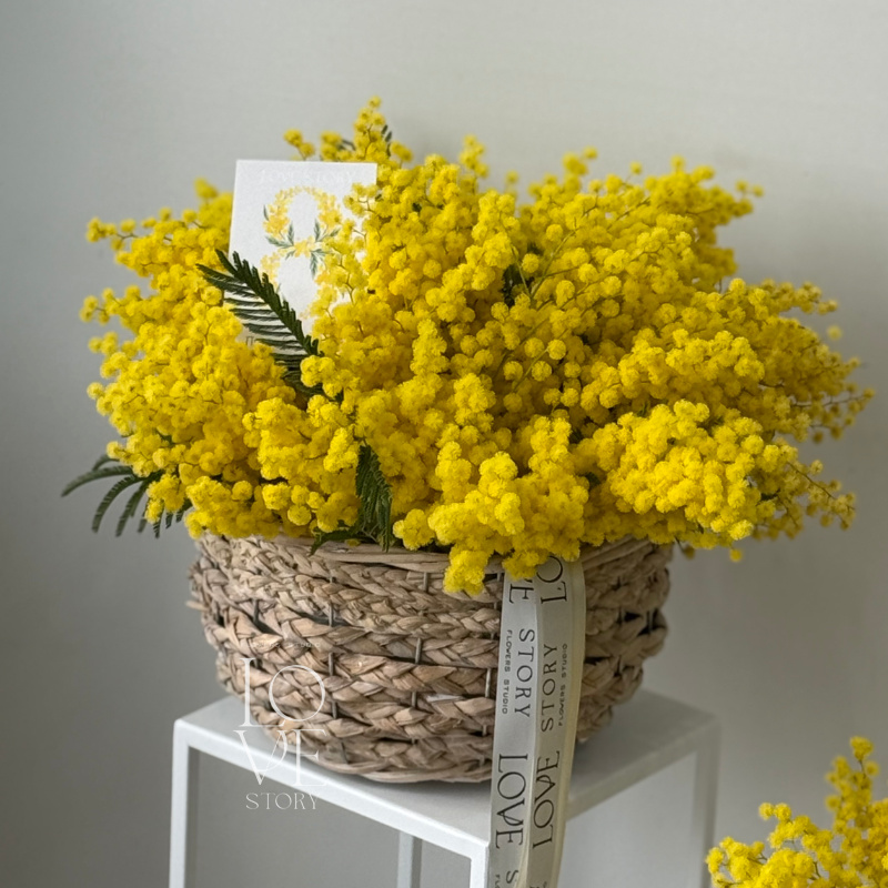 Корзинка с ароматной мимозой (размер М) 
