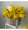 Корзинка с ароматной мимозой (размер М) 