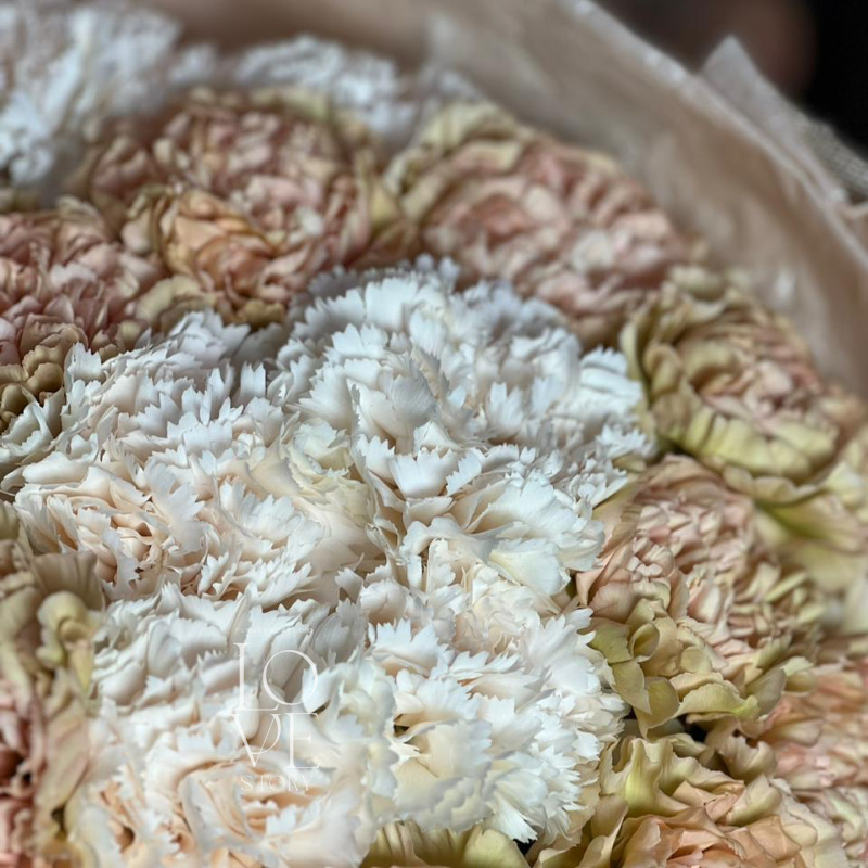 Лег Маррон и Брют 1