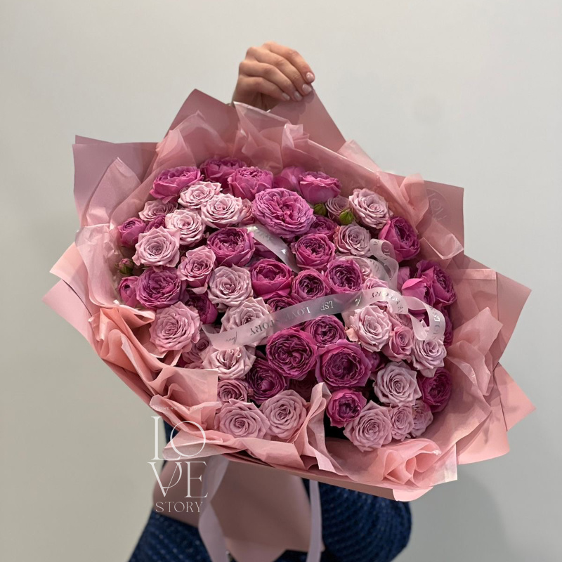 Нолла и Мисти
